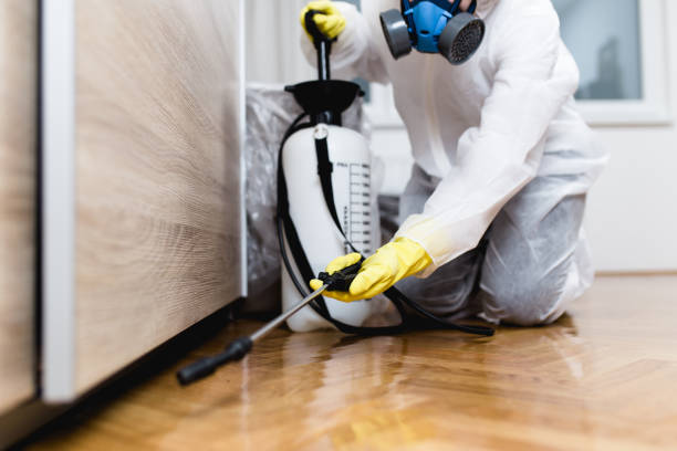 Professional Pest Control in Monroe, UT