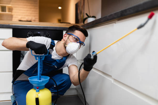 Best Residential Pest Control  in Monroe, UT