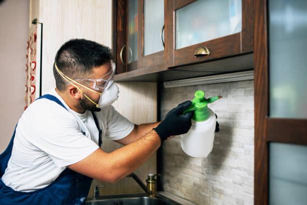 Best Bed Bug Extermination  in Monroe, UT