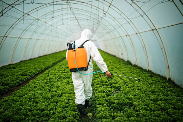 Best Affordable Pest Control Services  in Monroe, UT