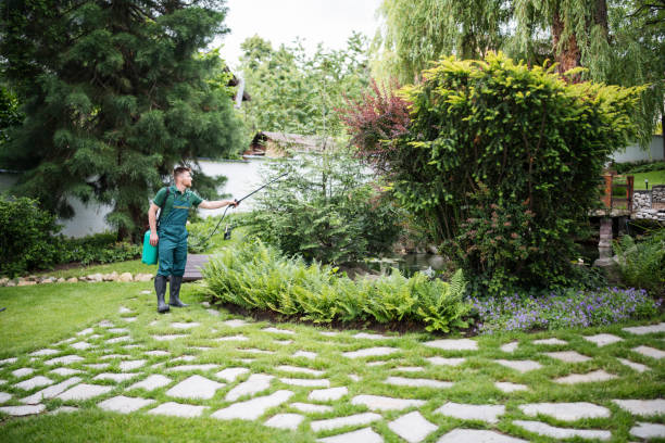 Best Residential Pest Control  in Monroe, UT