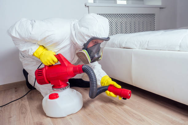 Flea Control Services in Monroe, UT
