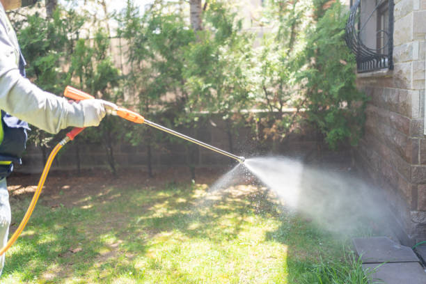 Professional Pest Control in Monroe, UT