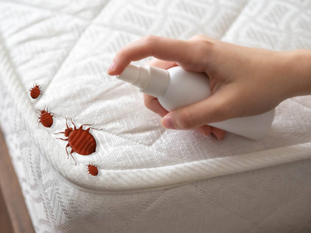  Monroe, UT Pest Control Pros