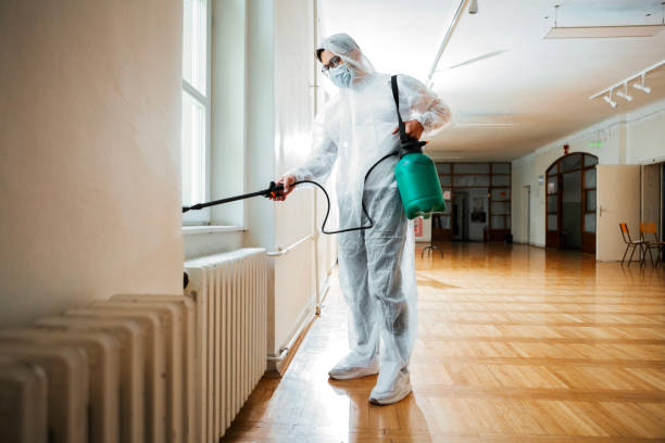 Best Pest Control Near Me  in Monroe, UT