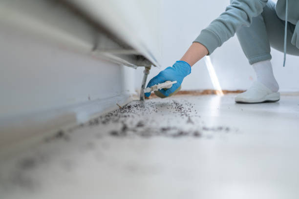 Best Pest Prevention Services  in Monroe, UT